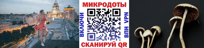 Галлюциногенные грибы мицелий  сколько стоит  Старая Купавна 