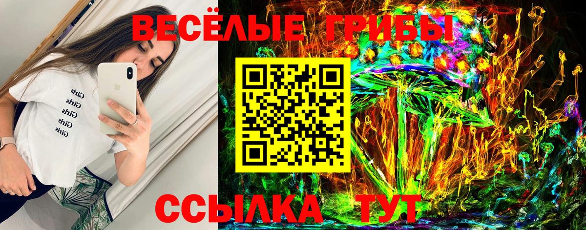 Псилоцибиновые грибы Magic Shrooms Старая Купавна