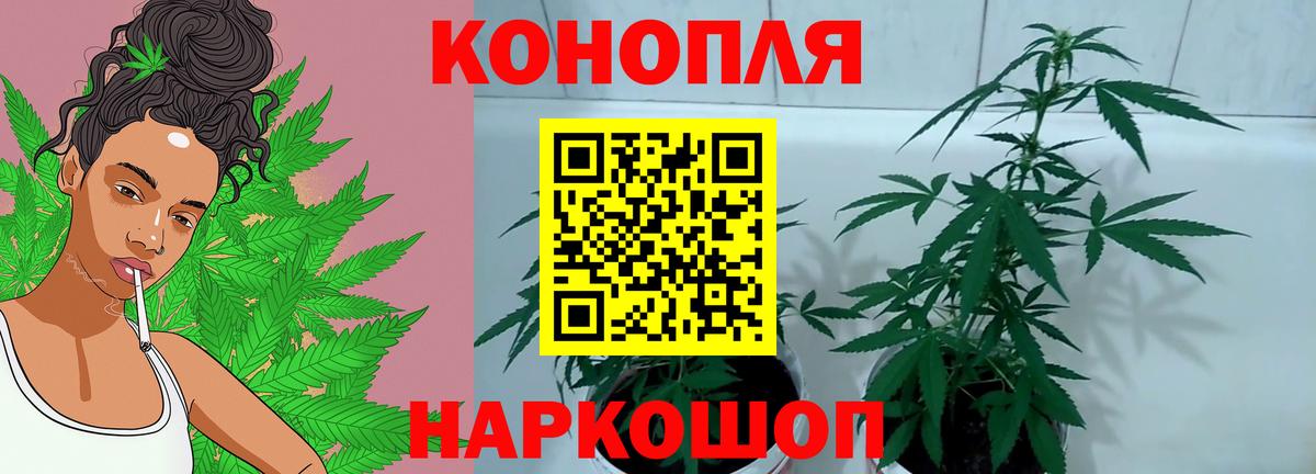 Бошки Шишки SATIVA & INDICA Старая Купавна